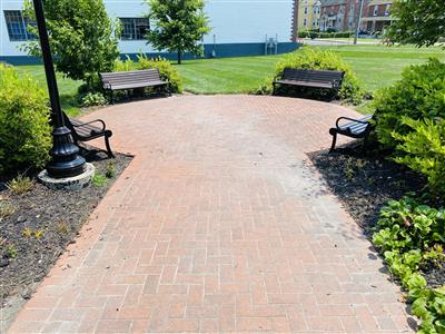 Freedom Green benches